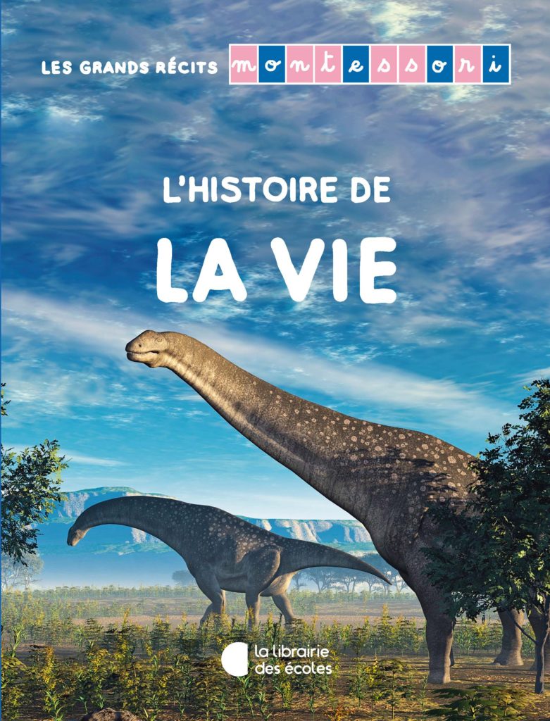 L'histoire de la vie